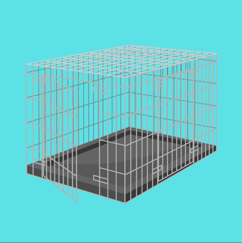 Cat Cages & Beds