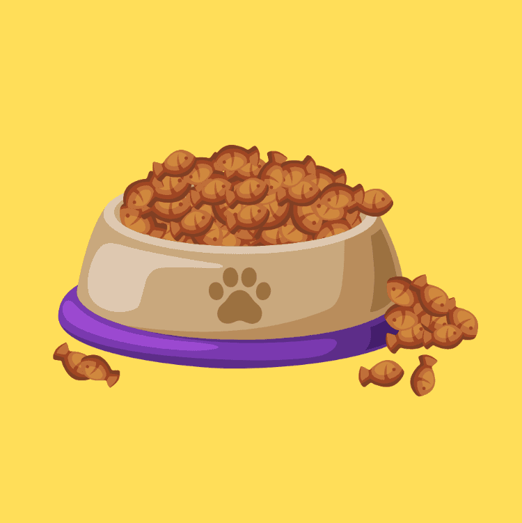 Cat Dry Food