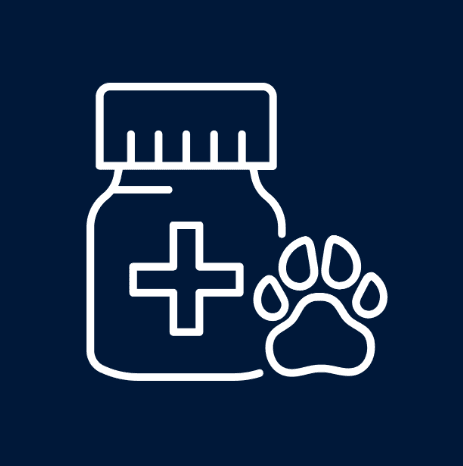 Dog Health & Wellness
