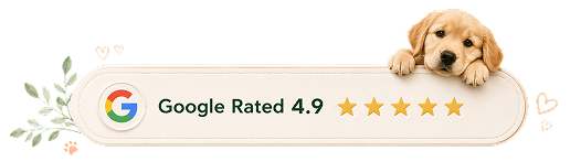 Google Rated 4.9